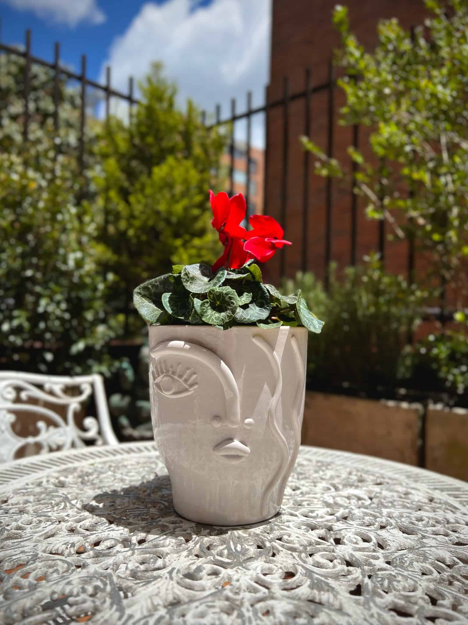IMG_1919